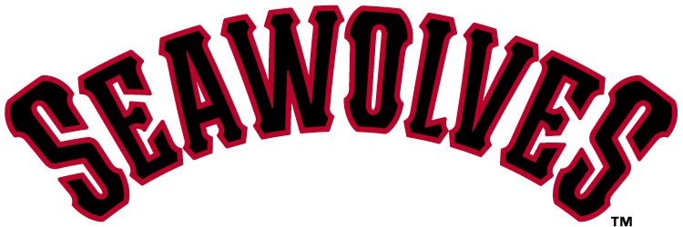 Erie SeaWolves 2013-Pres Wordmark Logo iron on transfers for clothing